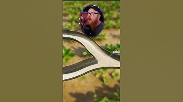 Twitch Streamers Text to Speech Dad jokes | Deadlydill