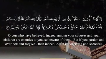 سورة التغابن الآيات من 10 18