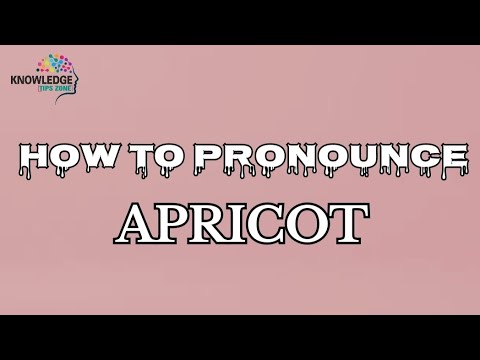 Video HOW TO PRONOUNCE APRICOT DAILY USE VOCABULARY YouTube Hqdefault