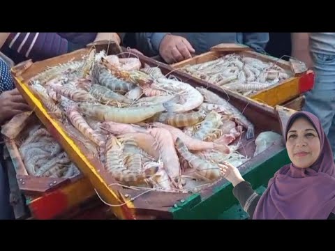 اسعار الجمبري البلدي وسمك البحر احلي اوزان واعلي جودة مزادات المعدية