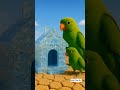 Parrots Builds Their Diomond House 亞 Parrot Ai Parrots Builds Their Diomond House 亞 Parrot Ai