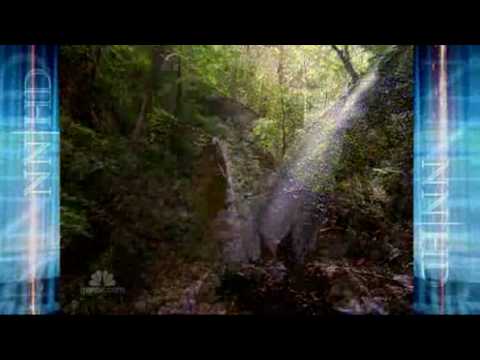 El Remanso Lodge on NBC, Osa Peninsula – Costa Rica