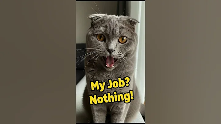 Video 11057781: meet scottish fold, cat wonderful, catlife, cat living