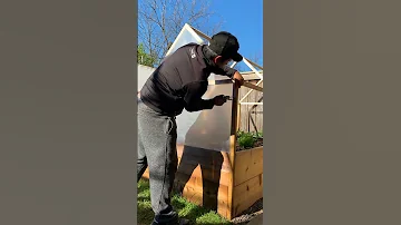 A Little Inspiration Idea To Upgrade Your Garden Bed 