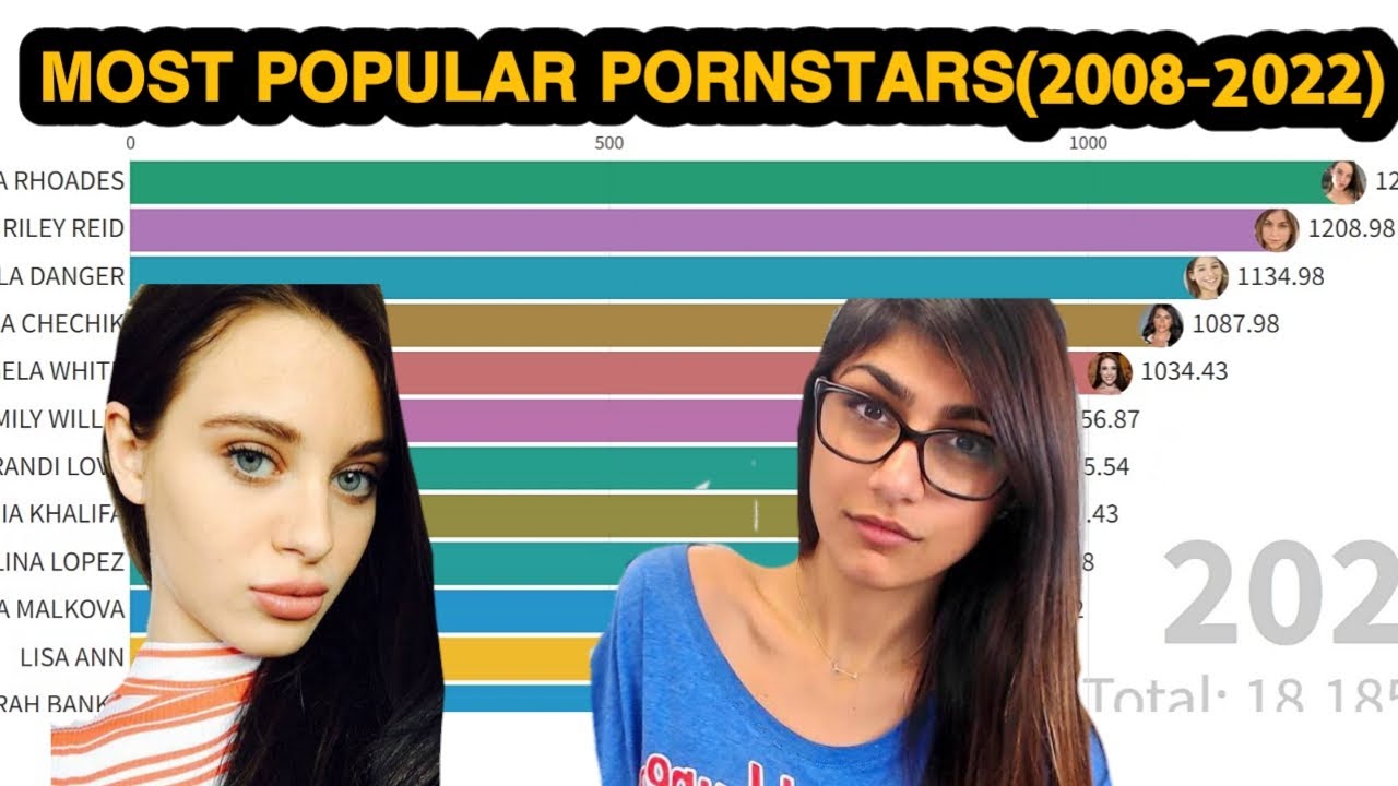 Best porn stars 2008