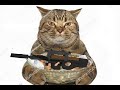 The GREATEST Gun In Phantom Forces
