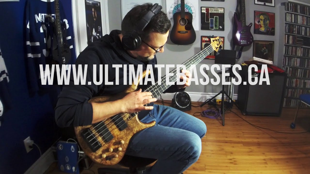 Ultimate Basses: MTD 535-24 Spalted Maple Burl Top
