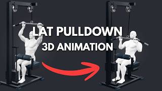 Overhand Lat Pulldown 3D Animation | Interactive 3D Exercise