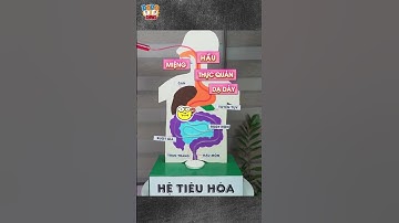 DODO DINO|Biến Giờ Học Thành Trò Chơi: Làm Mô Hình Hệ Tiêu Hóa #stem #diy #dochoitreemthongminh