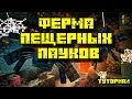 ФЕРМА ОПЫТА/ФЕРМА ПЕЩЕРНЫХ ПАУКОВ В МАЙНКРАФТ 1.8-1.18.1