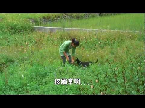 以莉．高露- 高跟鞋的田園路 / 2011 自然聲活節‧樂活心民謠