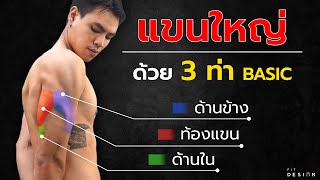 Fitปะล่ะ[#6] : สรุปมาให้แล้ว 3 ท่า สร้างหลังแขนใหญ่  l Fit Design