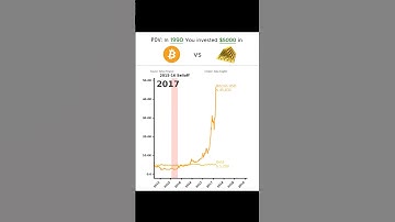 💴What If You Invested $5,000 in BITCOIN and GOLD? #linechart #datavisualization