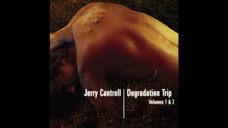 Watch Jerry Cantrell Thanks Anyway video