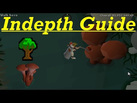 2-tick Woodcutting Guide | 180k Exp/Hr | Doovi