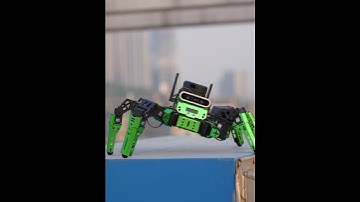 Have you ever seen a hexapod dance? How flexible the body is! 😍 https://bit.ly/JetHexa