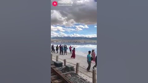 أفضل أصوات القرآن الكريم في العالم