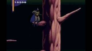 Adventures Of Batman And Robin