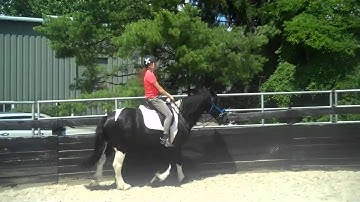 Reach Out to Horses introduces bareback riding!