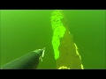 Подводная охота 2017- Вкусные осенние лещи!