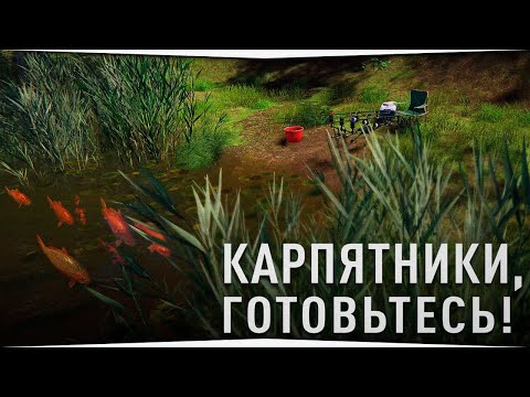 Видео: Опять карпятникам готовиться? • Форумный турнир • Русская Рыбалка 4