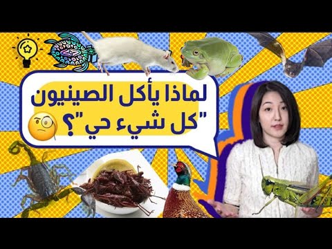 لماذا يأكل الصينيون كل شيء حي إكتشف السر وراء ذلك