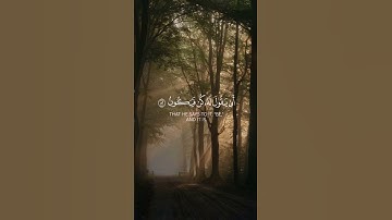 اوليس الذي خلق السموات والارض الشيخ #ياسر_الدوسري #سورة_يس #iqraa #quran #اقرأ #قرآن
