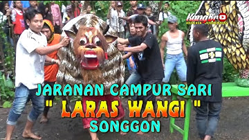 JARANAN LARAS WANGI SONGGON, KEBLAK - KEBLAK KUMAT MAKAN GELAS