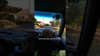 зсу специолисти справки #зсу #военные #нгу #новости #украина #україна #обстрел #рф #россия