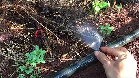 Hướng dẫn gắn béc con bọ vào ống mềm tưới tận gốc.