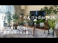 [50代主婦vlog]プラントツアー🪴/我が家の観葉植物のご紹介/インテリアグリーン/ザファームユニバーサル/マンション