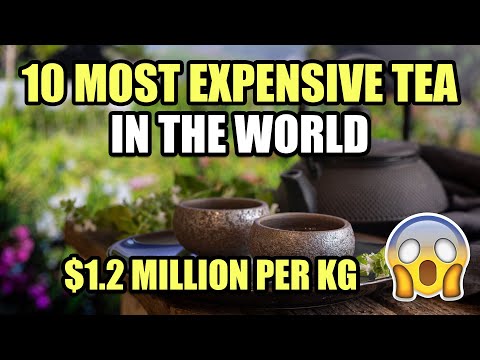 10 Most EXPENSIVE