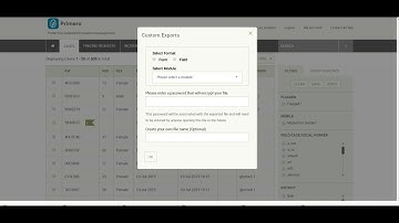 How to create a custom export in GBVIMS+ (V1.5)