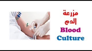 Blood Culture Sampling in Arabic - كيف تسحب مزرعة الدم 💉 - عربي