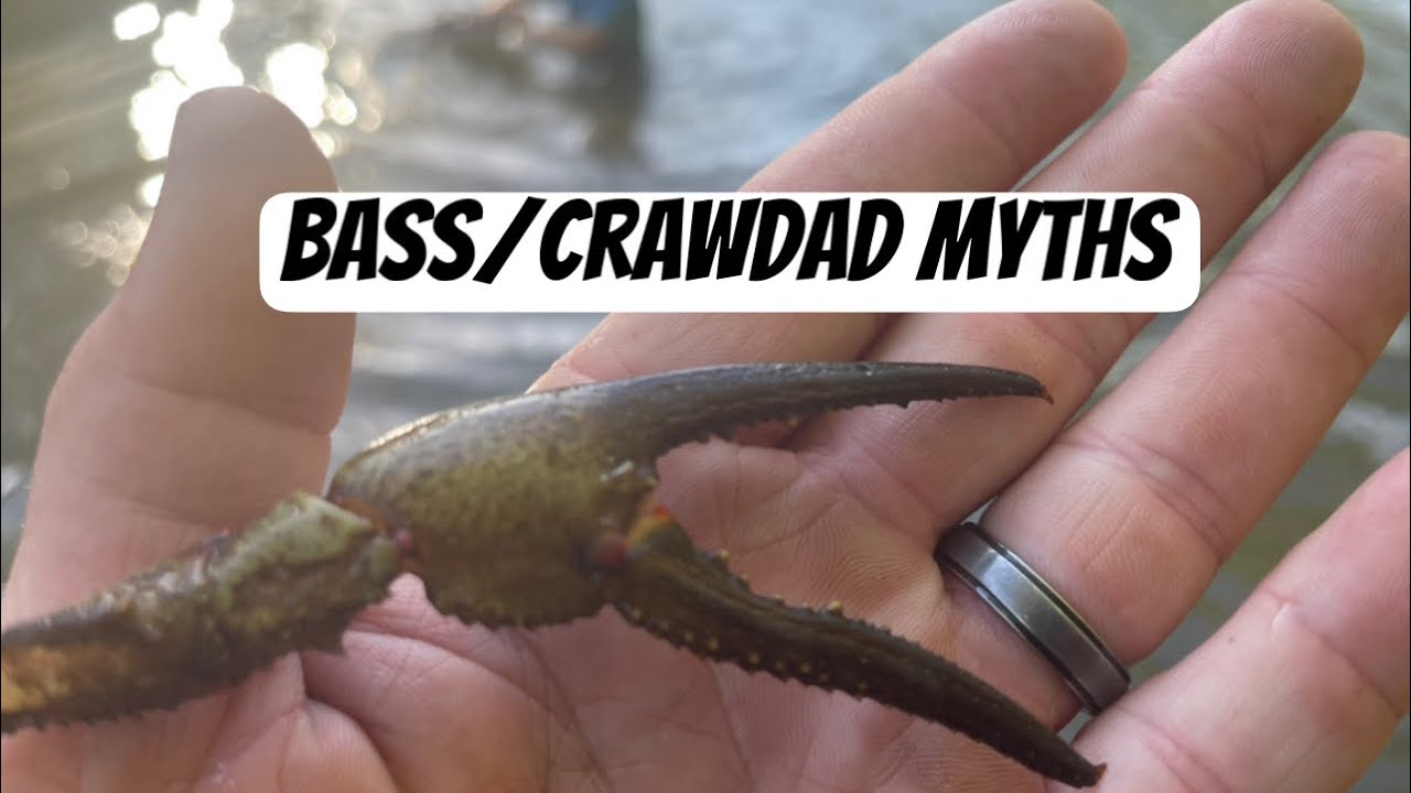 Crawdad Coloration vs. Lure Color…Most Anglers Make THIS Mistake 