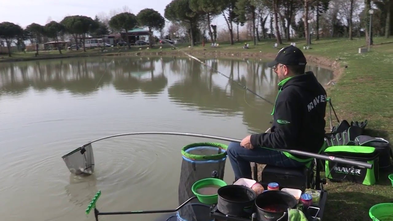 Maver Canna Diamond Feeder Youtube