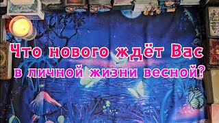 Что нового ждёт Вас в личной жизни весной?🔮🪄🪬❤️☘️✨️🌞