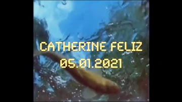 Potentials of Speculation I: Catherine Feliz