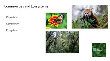Communities and Ecosystems (GCSE 9-1 Biology)
