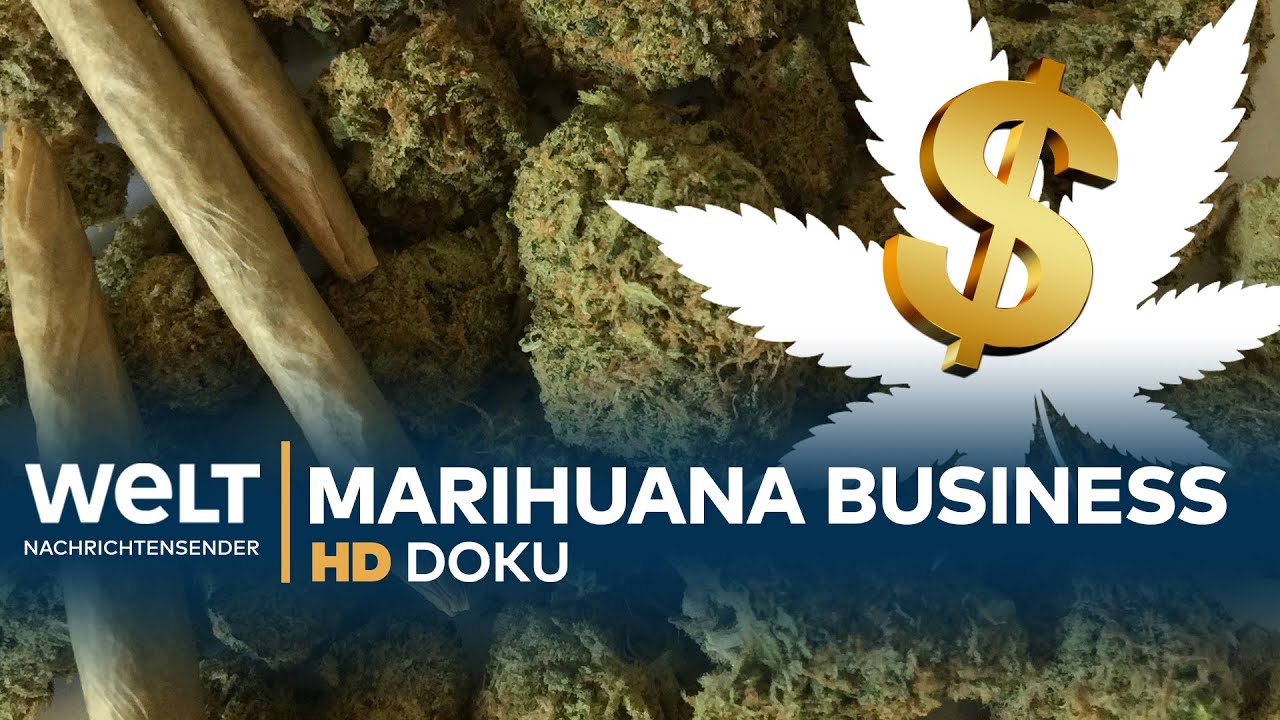 Big Business CANNABIS - Der grüne Rausch | Doku