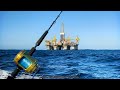 We fished under this oil rig for big fish and you could not guess what we caught