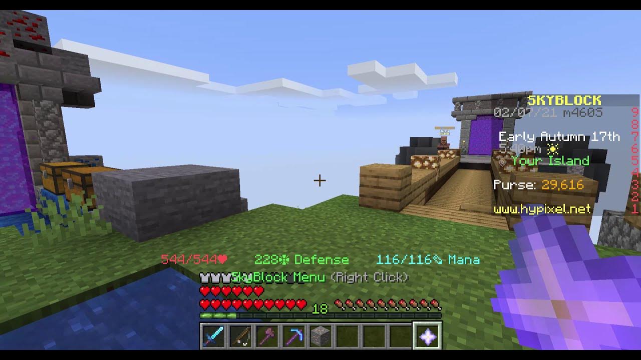 How to take pets out of the pet inventory in hypixel skyblock! YouTube