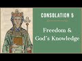 Freedom & Divine Foreknowledge | Consolation of Philosophy Book 5 Summary