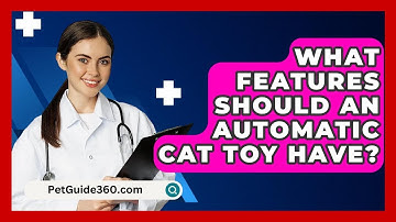 What Features Should An Automatic Cat Toy Have? - PetGuide360.com
