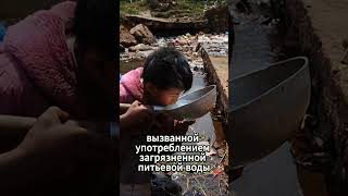 Водный кризис в мире растёт