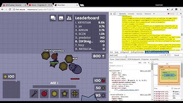 Moo Moo Exposing snipher 800 kills
