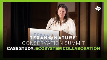 Case Study: Ecosystem Collaboration