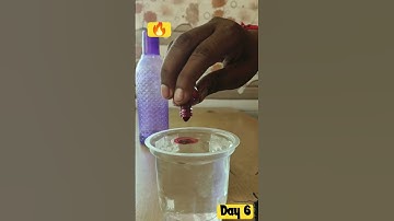 Experiments DAY 6 #shorts #viral #trending #satisfying #youtubeshorts #experiment #technology
