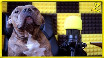 hello.  (A Message from Galileo)