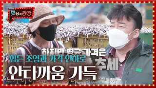 백종원×양세형, 힘든 생멸치 조업과 가격 인하에 안타까움ㅣ맛남의 광장(A Palatial Residence)ㅣSBS ENTER.
